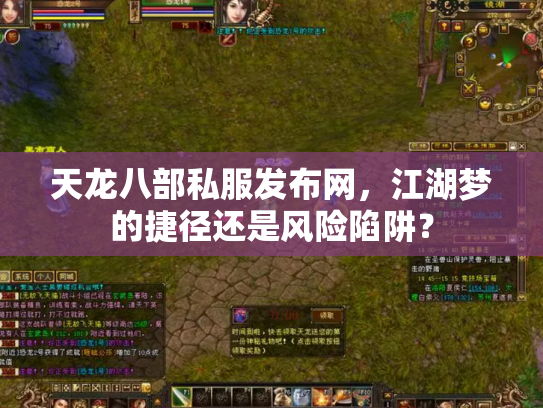 天龙八部私服发布网，江湖梦的捷径还是风险陷阱？