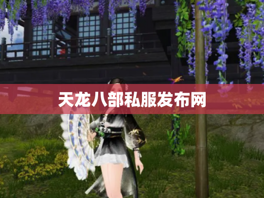 天龙八部私服发布网