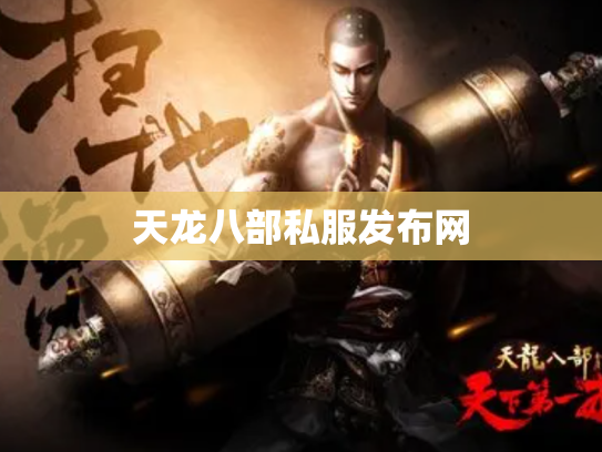 天龙八部私服发布网