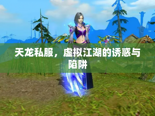 天龙私服，虚拟江湖的诱惑与陷阱