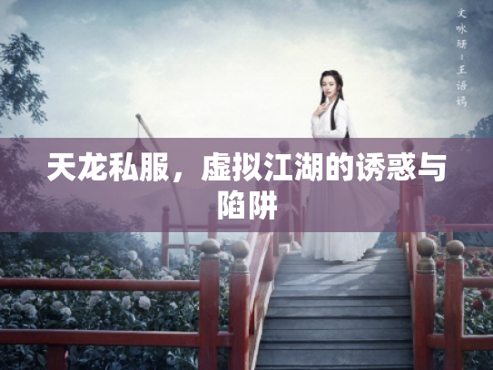 天龙私服，虚拟江湖的诱惑与陷阱