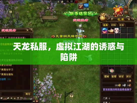 天龙私服，虚拟江湖的诱惑与陷阱