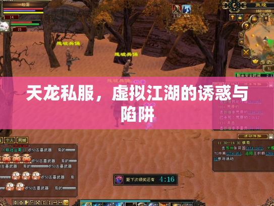 天龙私服，虚拟江湖的诱惑与陷阱