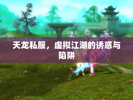 天龙私服，虚拟江湖的诱惑与陷阱