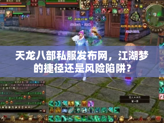 天龙八部私服发布网，江湖梦的捷径还是风险陷阱？