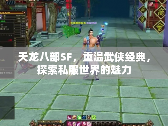 天龙八部SF，重温武侠经典，探索私服世界的魅力