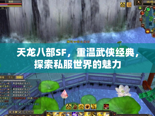 天龙八部SF，重温武侠经典，探索私服世界的魅力