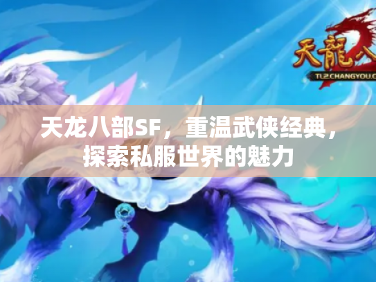 天龙八部SF，重温武侠经典，探索私服世界的魅力