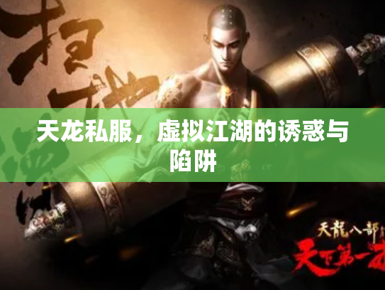 天龙私服，虚拟江湖的诱惑与陷阱