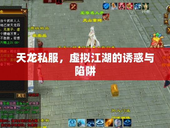 天龙私服，虚拟江湖的诱惑与陷阱