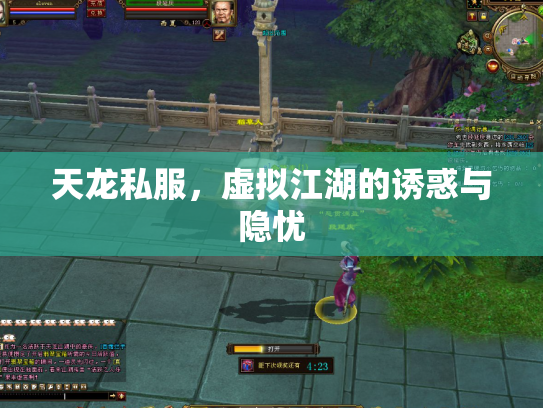 天龙私服，虚拟江湖的诱惑与隐忧