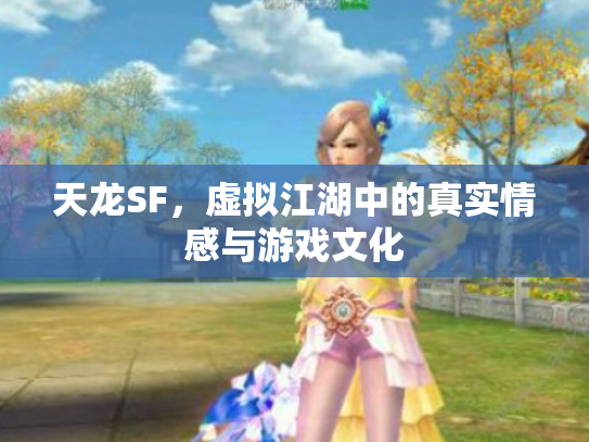 天龙SF，虚拟江湖中的真实情感与游戏文化