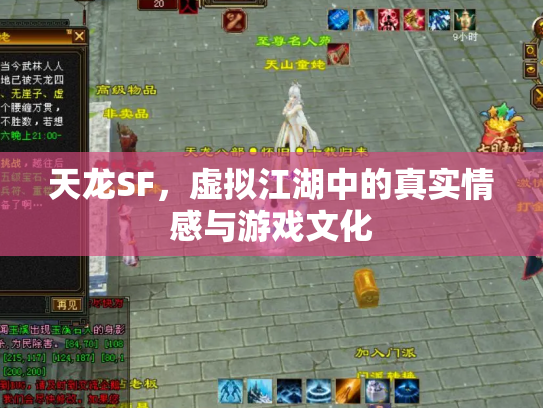 天龙SF，虚拟江湖中的真实情感与游戏文化
