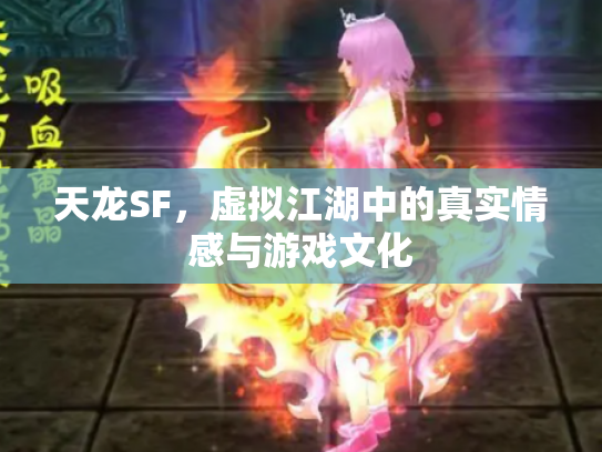 天龙SF，虚拟江湖中的真实情感与游戏文化