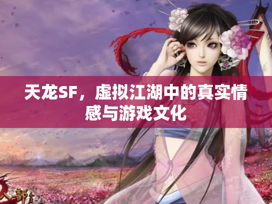 天龙SF，虚拟江湖中的真实情感与游戏文化
