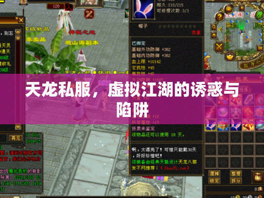 天龙私服，虚拟江湖的诱惑与陷阱