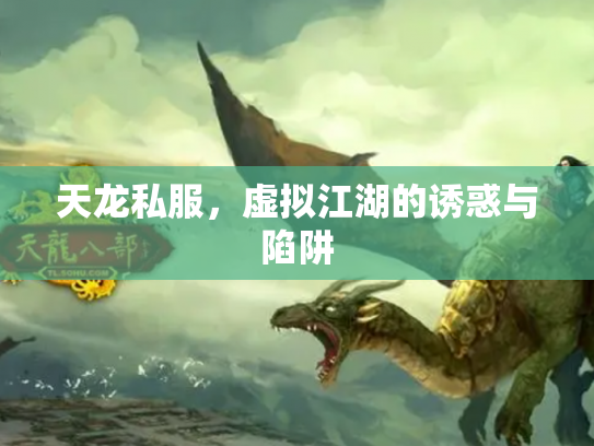天龙私服，虚拟江湖的诱惑与陷阱