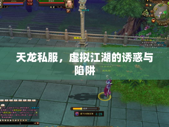 天龙私服，虚拟江湖的诱惑与陷阱