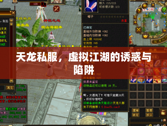 天龙私服，虚拟江湖的诱惑与陷阱