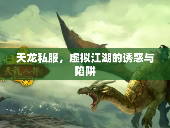天龙私服，虚拟江湖的诱惑与陷阱
