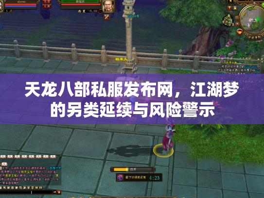 天龙八部私服发布网，江湖梦的另类延续与风险警示
