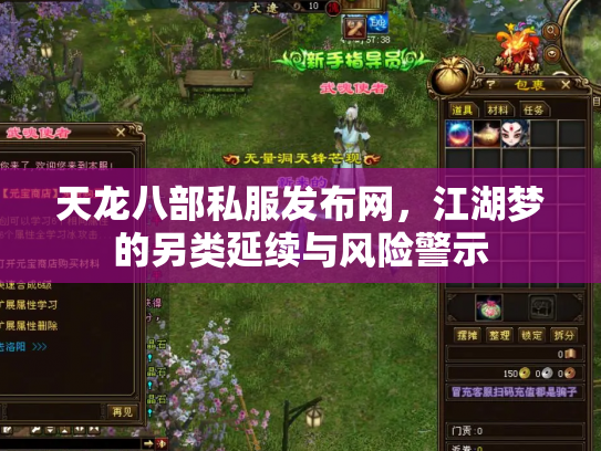 天龙八部私服发布网，江湖梦的另类延续与风险警示