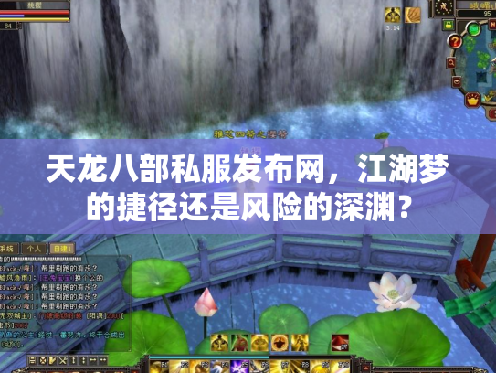 天龙八部私服发布网，江湖梦的捷径还是风险的深渊？
