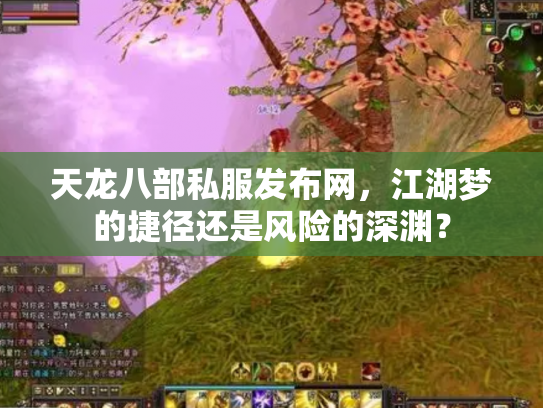 天龙八部私服发布网，江湖梦的捷径还是风险的深渊？