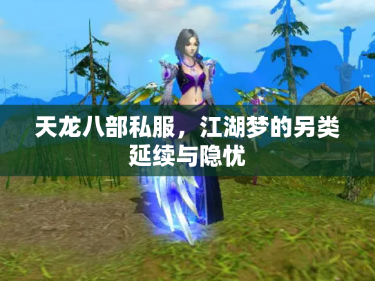 天龙八部私服，江湖梦的另类延续与隐忧