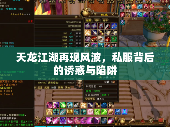 天龙江湖再现风波，私服背后的诱惑与陷阱