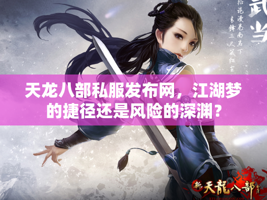 天龙八部私服发布网，江湖梦的捷径还是风险的深渊？