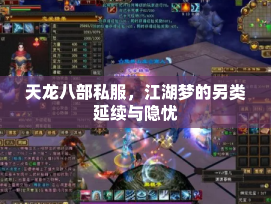天龙八部私服，江湖梦的另类延续与隐忧