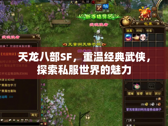 天龙八部SF，重温经典武侠，探索私服世界的魅力