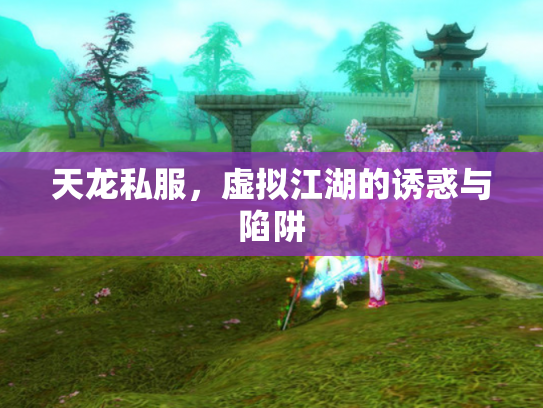 天龙私服，虚拟江湖的诱惑与陷阱
