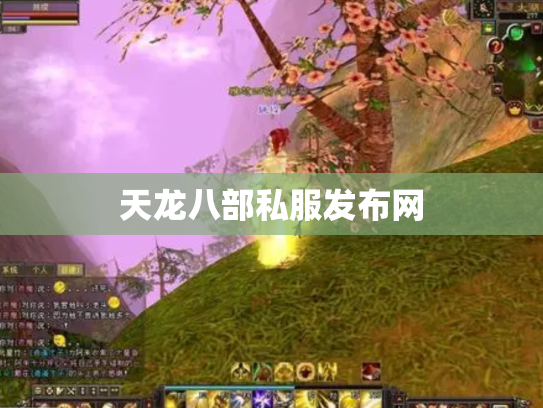 天龙八部私服发布网
