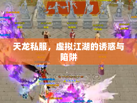 天龙私服，虚拟江湖的诱惑与陷阱