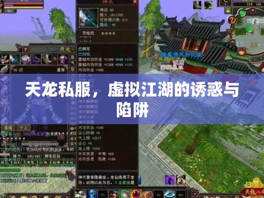 天龙私服，虚拟江湖的诱惑与陷阱