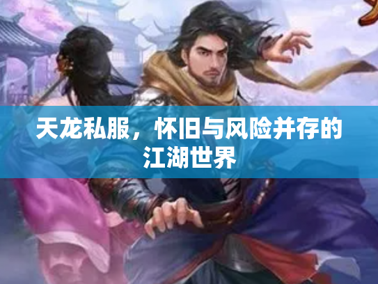天龙私服，怀旧与风险并存的江湖世界