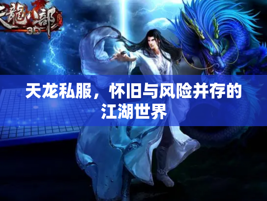 天龙私服，怀旧与风险并存的江湖世界