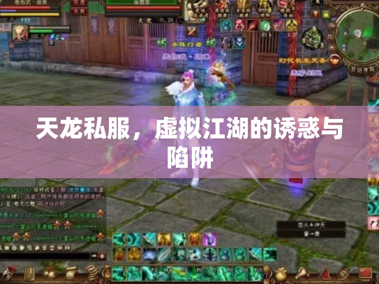 天龙私服，虚拟江湖的诱惑与陷阱