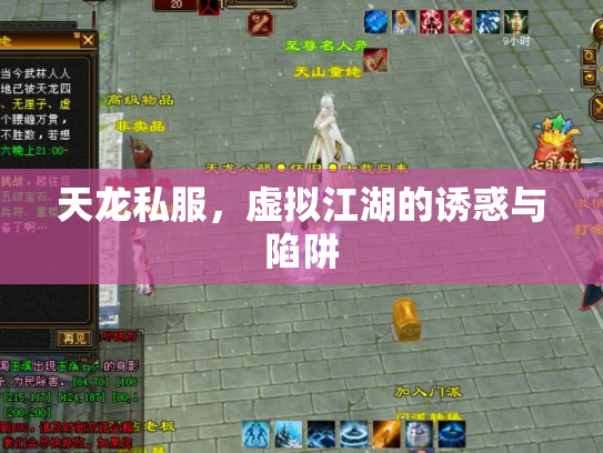 天龙私服，虚拟江湖的诱惑与陷阱