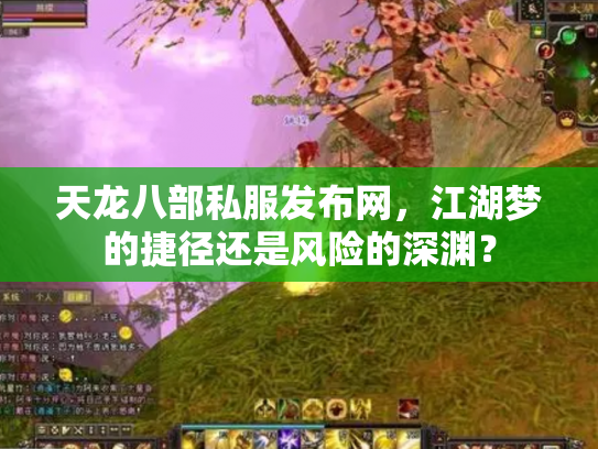 天龙八部私服发布网，江湖梦的捷径还是风险的深渊？