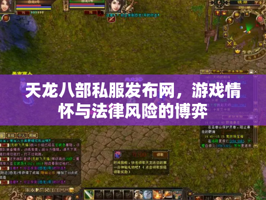 天龙八部私服发布网，游戏情怀与法律风险的博弈