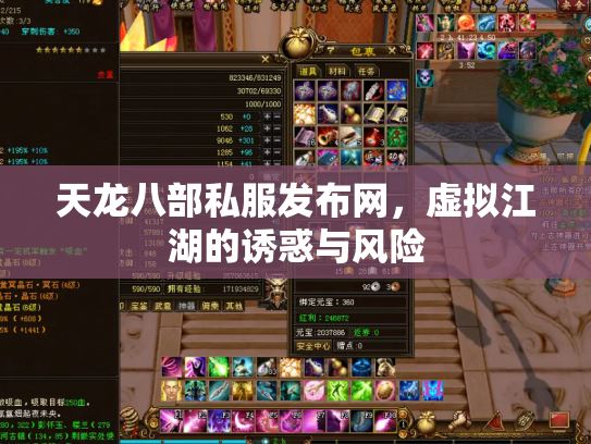 天龙八部私服发布网，虚拟江湖的诱惑与风险