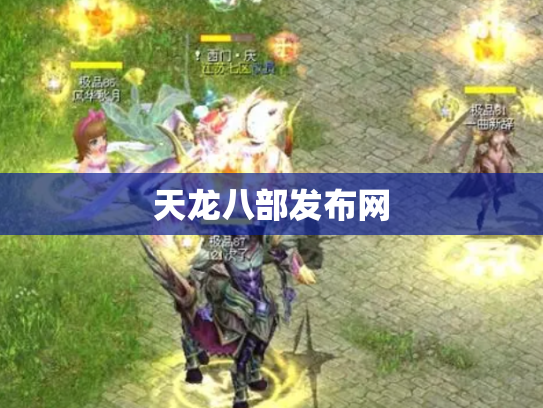 天龙八部发布网
