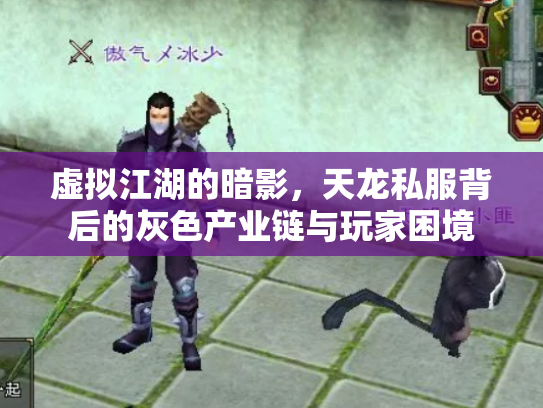 虚拟江湖的暗影，天龙私服背后的灰色产业链与玩家困境