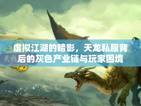 虚拟江湖的暗影，天龙私服背后的灰色产业链与玩家困境