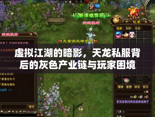 虚拟江湖的暗影，天龙私服背后的灰色产业链与玩家困境