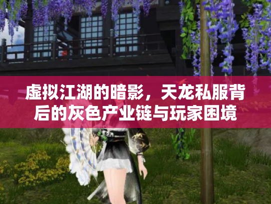 虚拟江湖的暗影，天龙私服背后的灰色产业链与玩家困境