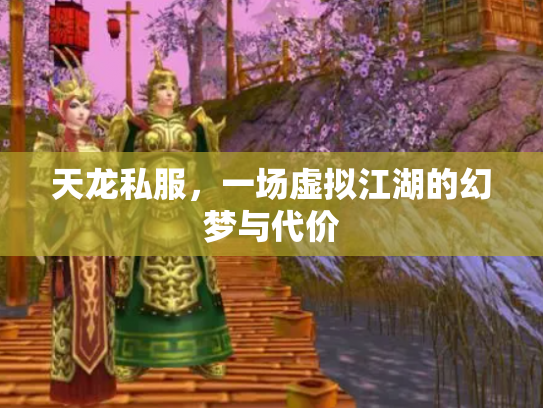 天龙私服，一场虚拟江湖的幻梦与代价